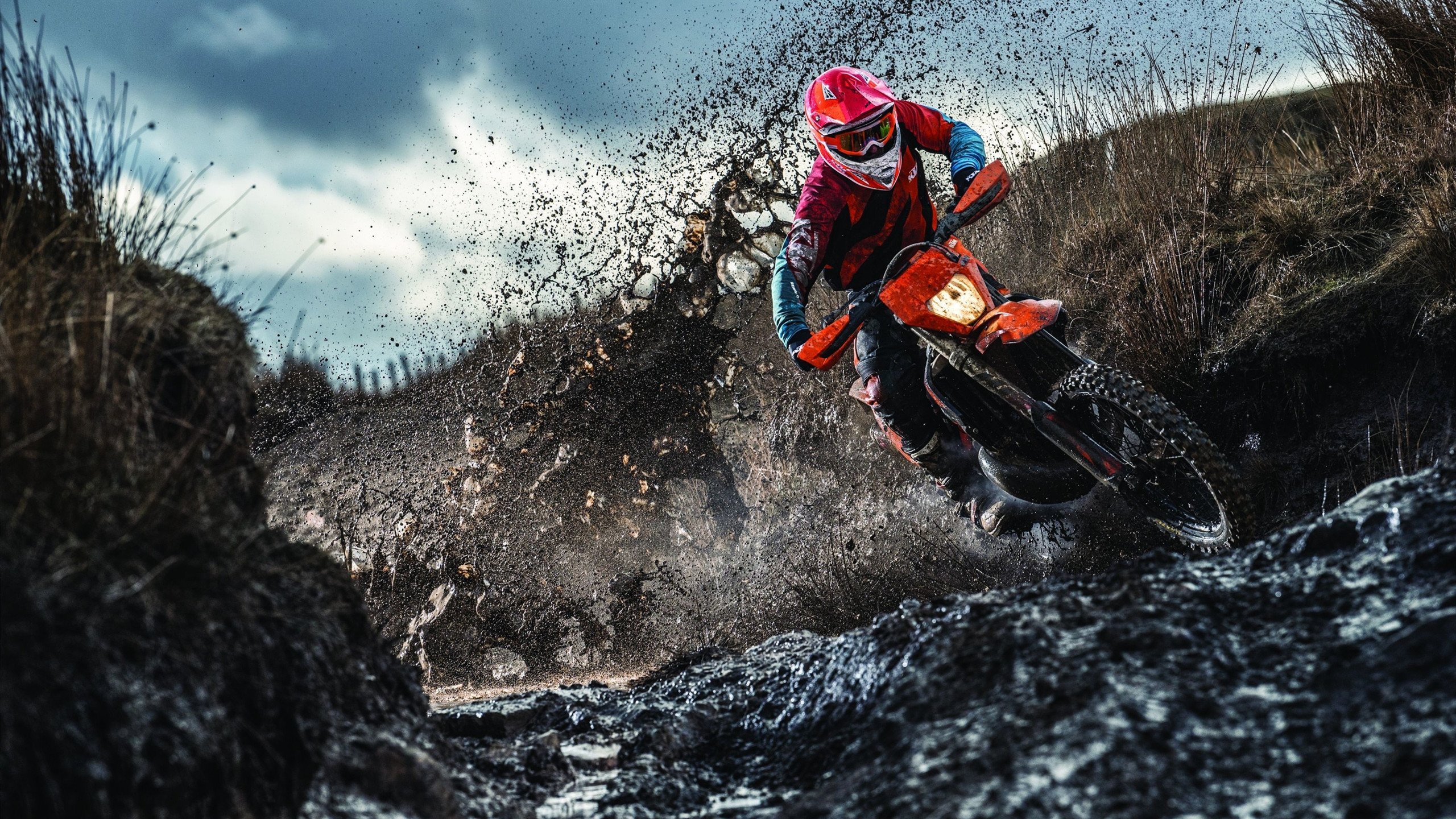 开云体育世界杯-巴斯托尼爆发,当意大利铁卫的怒吼,震碎韩国足球的文艺复兴幻梦